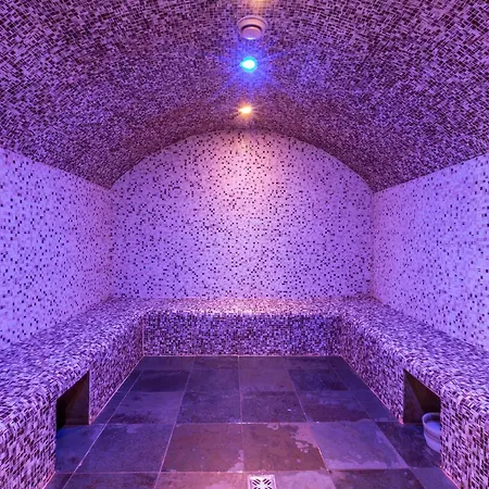 Appt 6pers Avec Piscine, Spa, Parking, Animaux Admis - Fr-1-461-28 Lejlighed